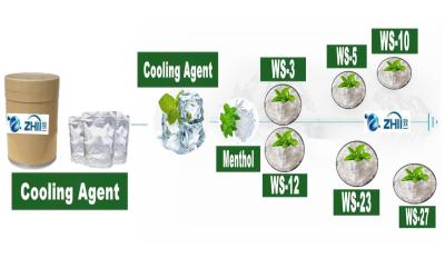 Китай Menthol for Cooling Agent Koolada N, 2, 3-Trimethyl-2- (1-methylethyl) Butanamide Ws-23 CAS: 51115-67-4 продается