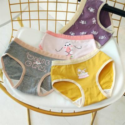 China Package 4pcs Pattern Breathable Cute Soft Boxer Briefs Underwear Girl Kids Safty Panties for sale