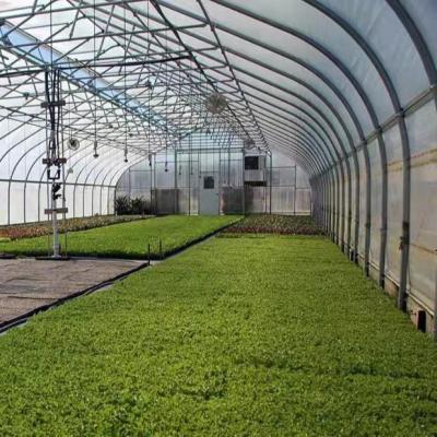 China Greenhouse factory direct galvanized steel for greenhouse for sale