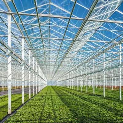 China Greenhouse factory direct galvanized steel for greenhouse for sale