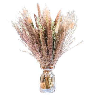 China High Quality Decorations 45-60cm Pampas Grass Bunch Dry Flower For Decorative Flowers And Home Decoration Garlands for sale