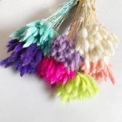 China Wholesale home decor dried flower bouquet bunny tails grass wedding decorative decoration for sale