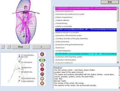 China 8d Nls / 9d Nls Body Health Analyzer Machine Quantum Bio Resonance for sale