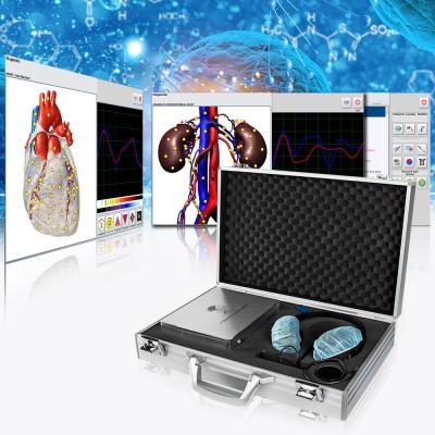 Cina Analizzatore diagnostico del cacciatore NLS Bioresonance di Metatron 4025 con software spagnolo/tedesco/inglese/polacco in vendita