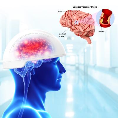 China estímulo magnético Transcranial del cerebro de la máquina de la terapia de Neurofeedback de la máquina de la terapia de la luz 810nm en venta