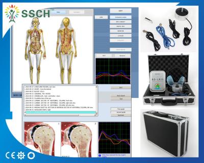 Cina Macchina dell'analizzatore di salute di terapia di Bioresonance, bio- risposte di Quantum in vendita