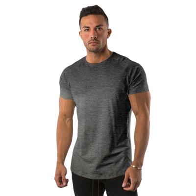 China Plain Blank Men's Gym QUICK DRY Custom Cotton Sports High Quality Round Neck Logo T-shirt T-shirt for sale