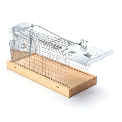 China China Factory Price Mouse Trap Pest Control Mouse Trap Cage Breathable Iron Cage for sale