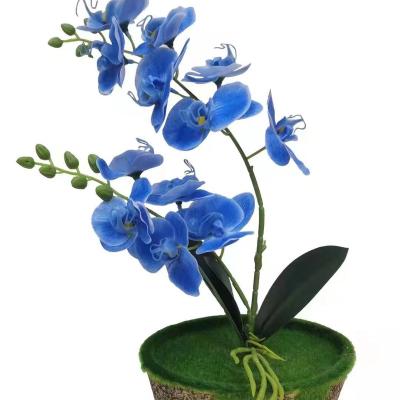 China Asd Artificial Phalaenopsis Orchid Flowers for sale