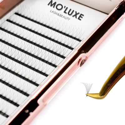 China Wholesale Volume Eyelash Extensions Private Label Long Natural Eyelash Extensions 4D/5D/6D/7D Premade Fan Group Custom Eyelash Extensions for sale