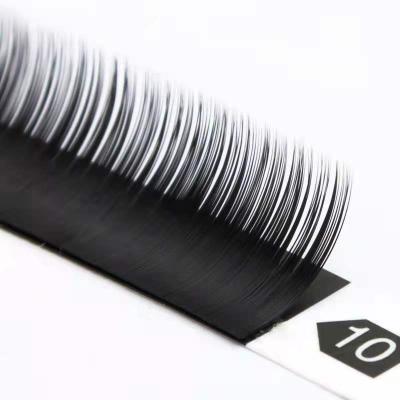 China Different Design Natural Unique Hot Sale Professional Eyelash Extensions for sale