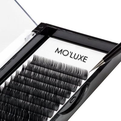 China Different Quality Natural Guaranteed Unique Classic Black Eyelash Extensions Mega Volume for sale