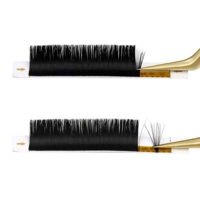 China 2021 New Soft Hot Selling Fake Products Popularity PBT Fibers Easy Fan Mink Volume Eyelash Extensions for sale