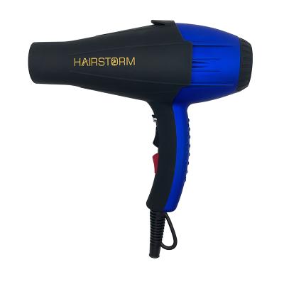 China 2020 Hot Blow Hair Dryer Negative Professional Ion Ac Motor Hair Dryers Salon Equipment On Sale for sale