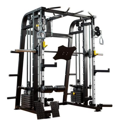 China Fitness Complete Squat Frame Training Equipment Commercial Home Suit EC57010 for sale