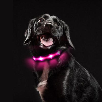 China Viable Waterproof Reflective Luxury Custom Nylon Webbing Flashing Light Led Dog Collar Pet Collars Leashes for sale