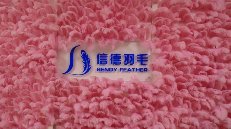 Verified China supplier - Luohe Sendy Feather Trade Co., Ltd.