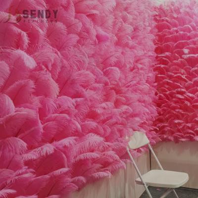 China Wholesale 20-25cm Wall Centerpiece Decoration Ostrich Feather Feather Wall Wedding Photography Backdrop Backdrop For Wedding Party Photography Backdrop Decor for sale