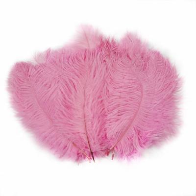 China Decorations Wholesale High Quality 10-12 Inch Ostrich Drabs Feathers Decor Pink Feathers Wall For Carnival Costumes Wedding Party for sale