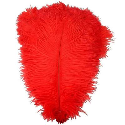 China Wholesale 22-24inch (55-60cm) Natural Cheap Ostrich Feathers Decor Decor Drabs Feather For Wedding Decoration Colored Feathers for sale