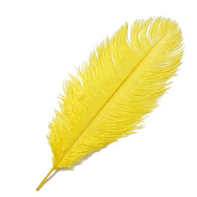 China Wholesale Natural Cheap Ostrich Feather 20-22 Inch(50-55cm) Decor Decorations Feathers On Sale For Wedding Decoration Colored Feathers for sale