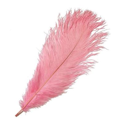 China Wholesale Natural Cheap Ostrich Feather 18-20 Inch(45-50cm) Decor Decorations Feathers On Sale For Wedding Decoration Colored Feathers for sale