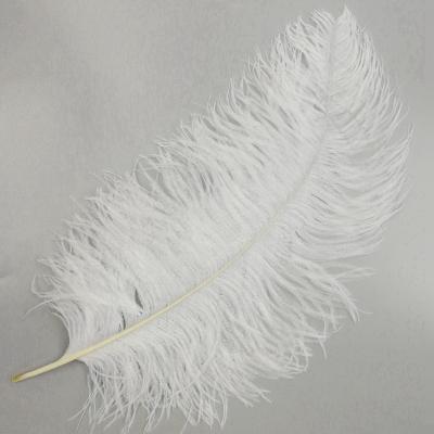 China Handcraft Party Wedding Performance Decoration Feather Factory 45-50 cm Different Sizes High Quality Ostrich Feathers Centerpieces For Wedding Decoration for sale