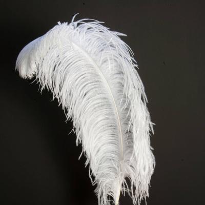 China Wedding Centerpiece Wholesale Decorative Ostrich Feathers White Feathers For Wedding Centerpieces for sale