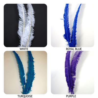 China Party Wedding Performance Decoration 2 Pcs Ostrich Nandu Feathers 18