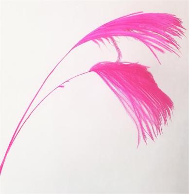 China Ostrich Plume Tips, 28 inches long party wedding performance decoration for sale