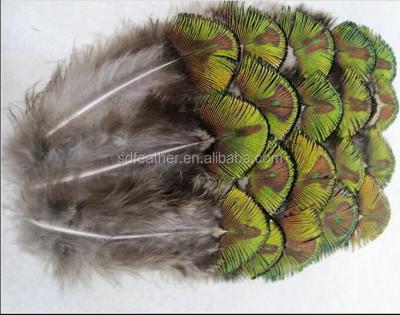 China Cheap Gold Peacock Feather Peacock Feather DIY Pheasant Feather Free Shipping for sale