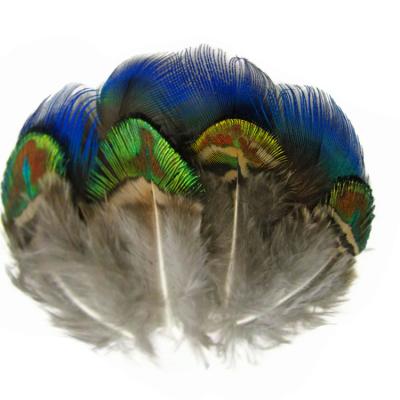 China DIY Wholesale 1-3inch Mix Iridescent Blue, Green and Gold Peacock Plumage Loose Feathers for sale