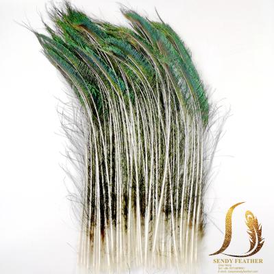 China Decoration Peacock Sword Feathers 35-40 Inches For Helmet Hats Floral Arrangements for sale