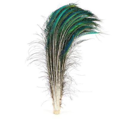 China Wholesale Natural Decoration Peacock Sword Feathers 25-30 Inches For Wedding Home Decoration for sale