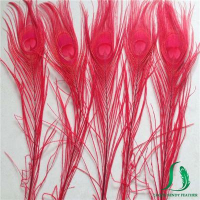 China Wholesale Decoration Bleached And Dyed Peacock Feather 30-35cm For Working Headpiece Jewelry Flower Arrangement Earrings for sale