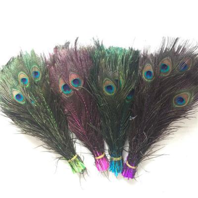 China The natural decoration wholesale above the dyed peacock trim the tail 25-30 cm for sale