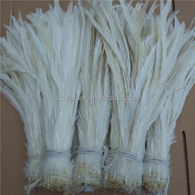 China Festivals / Carnival Costume Long White Decorative Rooster Tail Feathers Feathers For Carnivals for sale