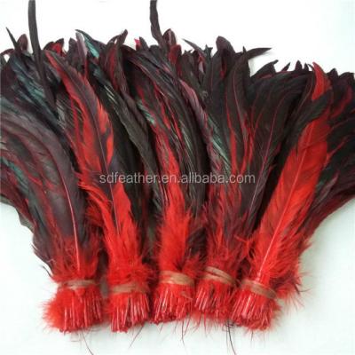 China Wholesale Chicken Feather Rooster Tail Feathers For Carnival Costumes for sale