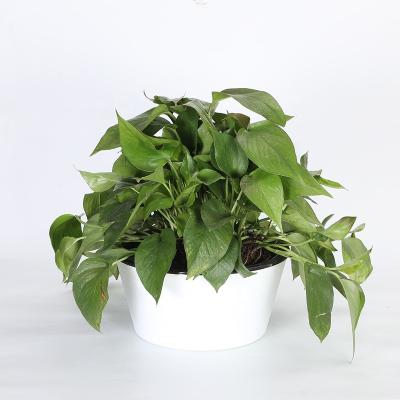 China Modern Supply Planters Large Outdoor Plant Pots Two In One Set With Self Watering System for sale