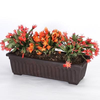 China Modern Plant Pot Rectangular Square Rectangular Plant Pot Rectangular Plastic for sale