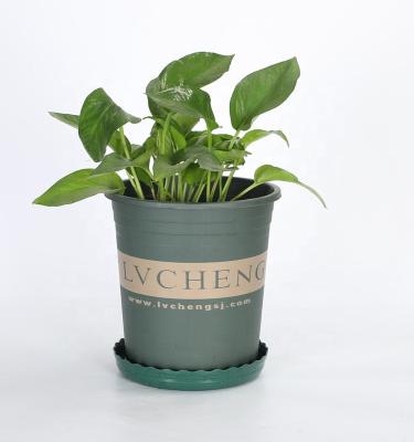 China Customized Corrosion Resistance Plastic Green Gallon Flower Pot Style Indoor Outdoor for sale