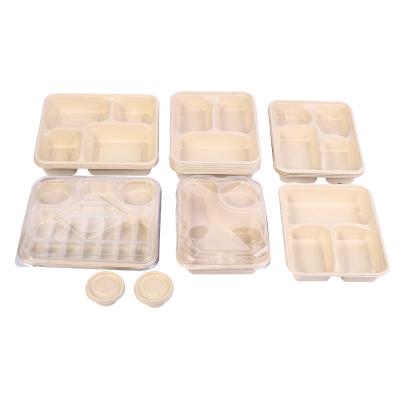 China Disposable Eco-friendly Biodegradable Sugarcane pulp environmental friendly light food salad fitness take away lunch disposable degradation box for sale