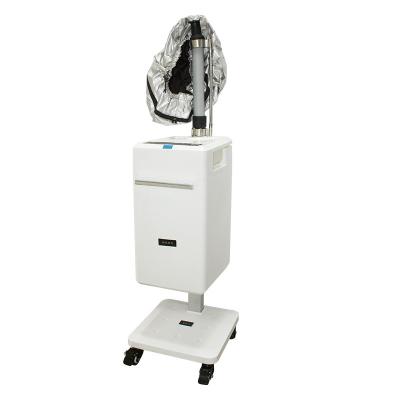 China Styling Moisturizer Beauty Hair Luxe And Steam Spa Perm Machine Ceramic Perm Machine for sale