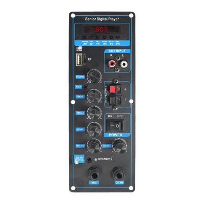 China Noise VIRE Stereo Electronics Digital Power Audio Bluetooth Amplifier Speaker Panel for sale