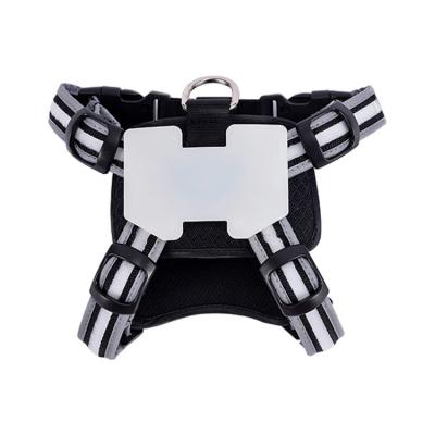 China Night Outdoor Safety Supplies Pet Harness Supplies Double Sided Small And Medium Cats Harness Dog Show Chest Rechargeable Led Single Strap for sale