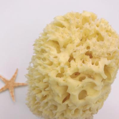 China All Natural Sea Sponge Greece Sponge Honeycomb Soft Natural Organic Renewable Sea Moss Sea Sponge for sale