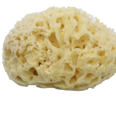 China All Natural Sea Sponge Good Quality Reusable Soft Foam Honeycomb Sponge For Bath for sale