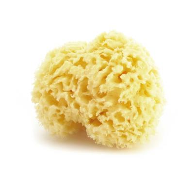 China All Natural Hot Selling All Natural Honeycomb Renewable Sea Sponges for Bath and Shower for sale