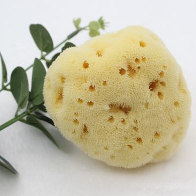 China All Natural Soft 100% Wool Sponge Greece Honeycomb Bath Sea Sea Natural Facial Sponge For Body Cleansing for sale