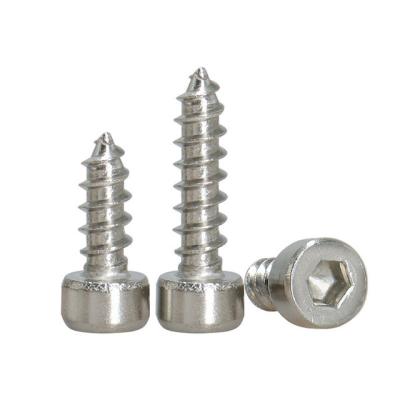 China Premium Quality M2M2.5M2.6M3M4M5M6 Stainless Steel Small Head Cup Tapping Bolt Nuts Screws Nails Wholesale Supply for sale